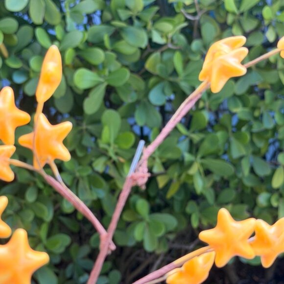 Vintage Lot Yellow Gold Star Floral Stem Picks Mickey Mouse Disney Tree Wreath - Picture 9 of 11